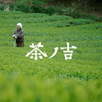 豊かな自然の伊吹の中で育つ「茶ノ吉」のお茶